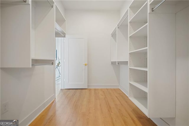 spacious closet with light wood-type flooring