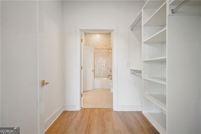 spacious closet with hardwood / wood-style floors