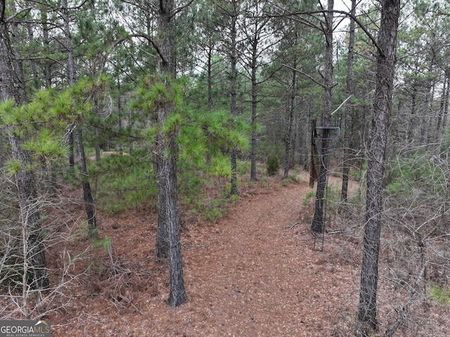 Listing photo 2 for 0 Possum Trot Rd, Barnesville GA 30204