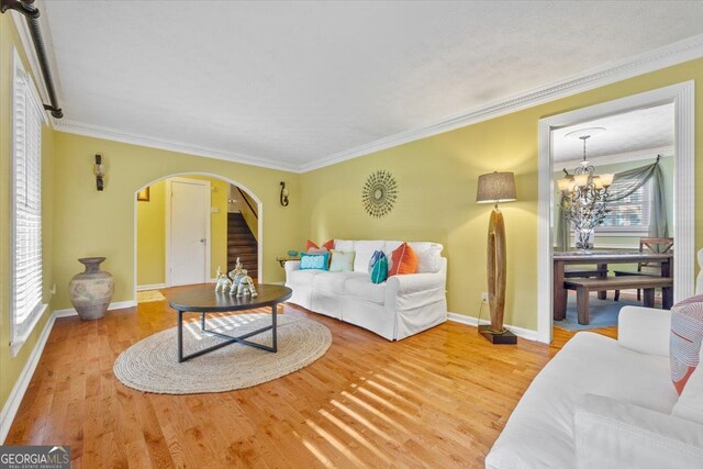 living room with wood-type flooring, a wealth of natural light, and ornamental molding