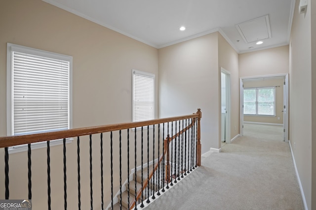 hall featuring ornamental molding and light carpet