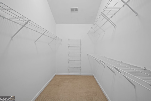 spacious closet with carpet floors