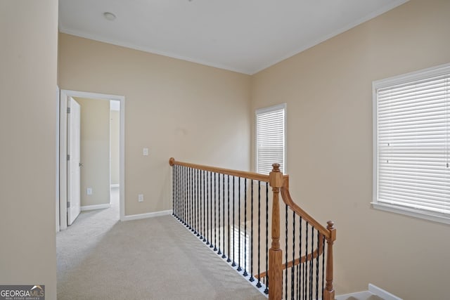 corridor with a wealth of natural light, ornamental molding, and carpet