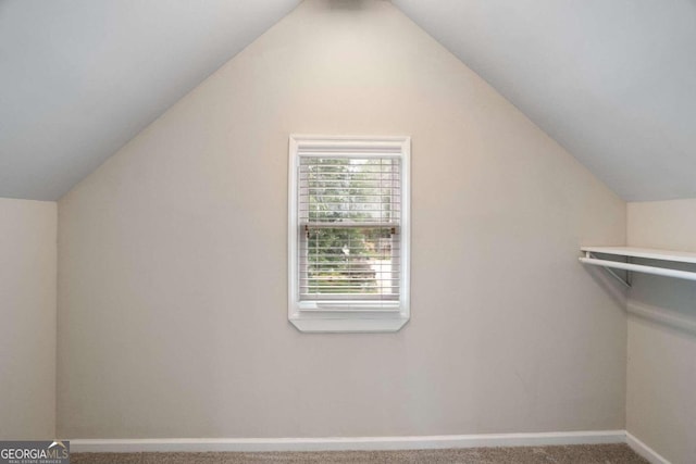 bonus room featuring vaulted ceiling and carpet floors