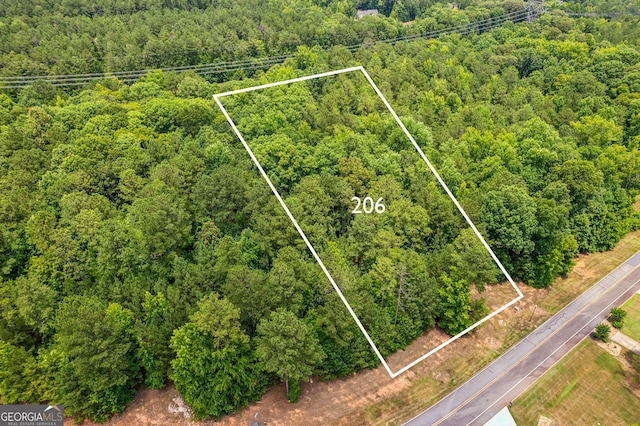 206 Crescent Dr, Forsyth, GA 31029