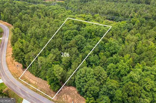 206 Crescent Dr, Forsyth, GA 31029