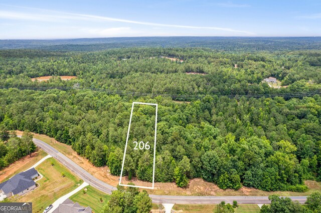 206 Crescent Dr, Forsyth, GA 31029