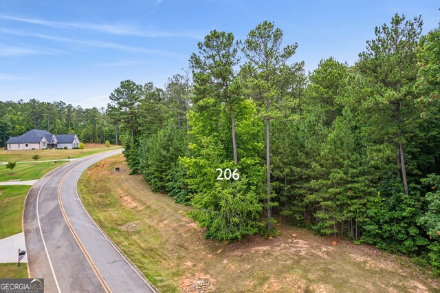 206 Crescent Dr, Forsyth, GA 31029
