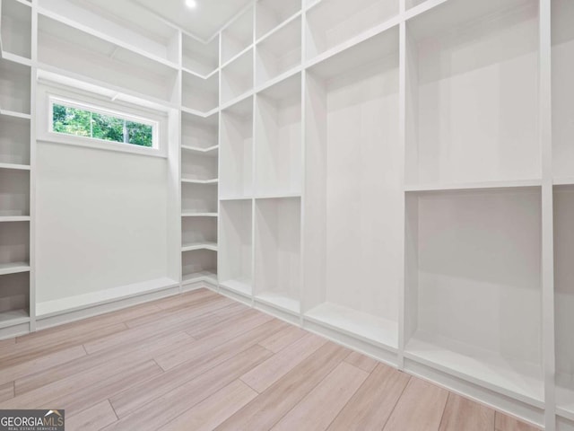 walk in closet featuring wood-type flooring