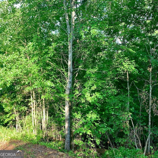 Listing photo 3 for LOT12 Cricket Ln, Warne NC 28909