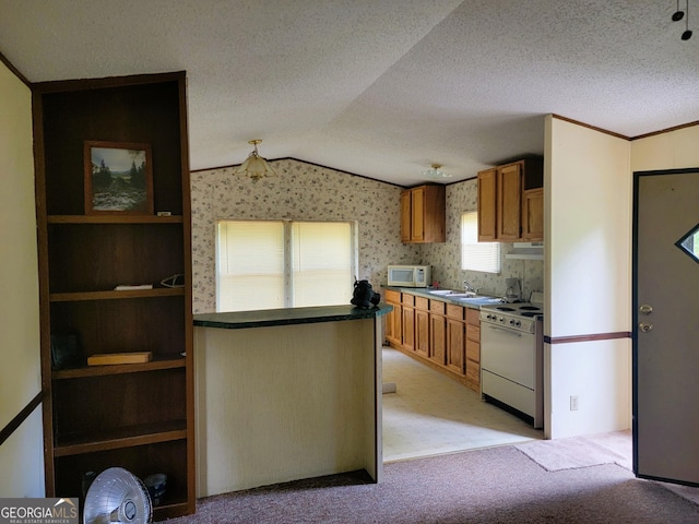 kitchen featuring a textured ceiling, lofted ceiling, light carpet, and white appliances