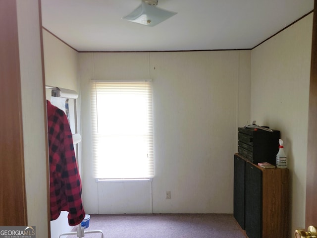 unfurnished room featuring carpet