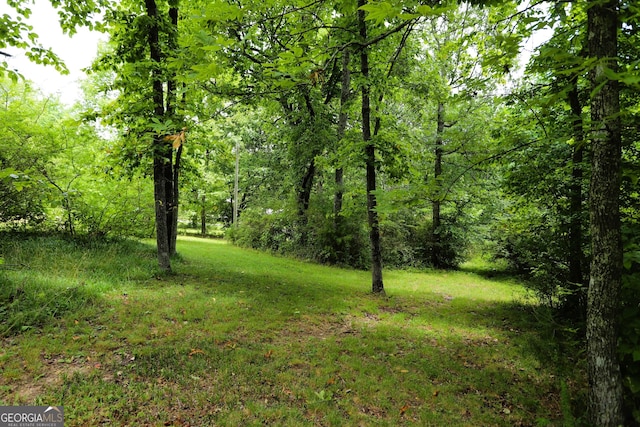 view of landscape