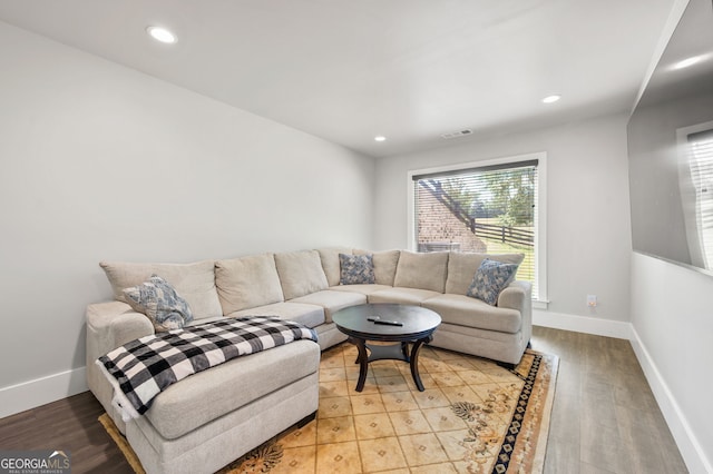 living room featuring wood-type flooring