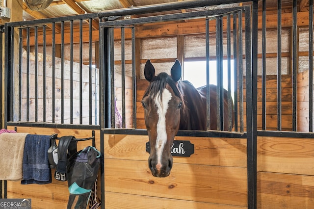 view of horse barn