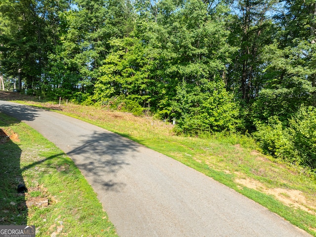 Listing photo 3 for LOT34 Winfield Cir, Blue Ridge GA 30513