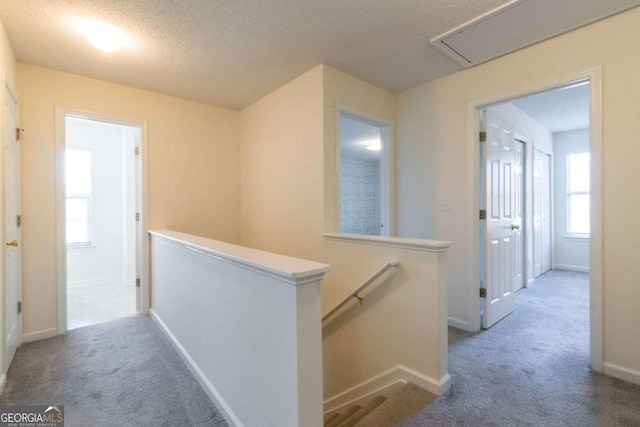 hallway featuring carpet and a textured ceiling