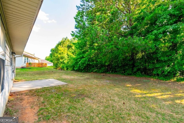 view of yard with a patio area