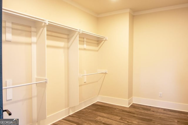 spacious closet with dark wood-style floors