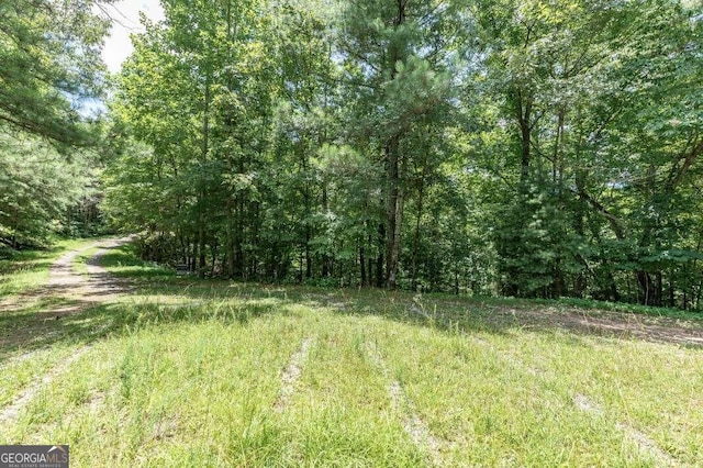 Listing photo 2 for LOT1687 Shade Tree Dr Unit A & B, Talking Rock GA 30175