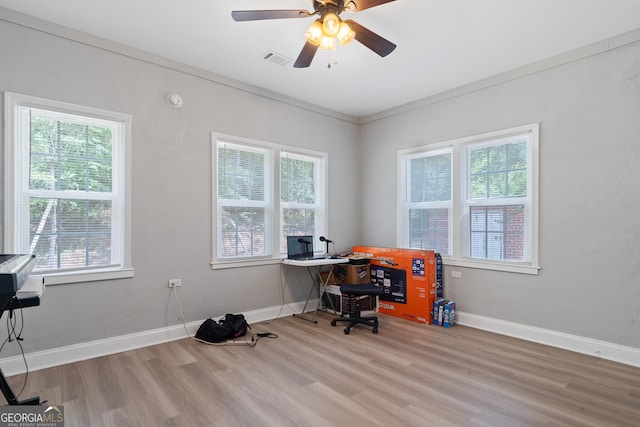 office space with ornamental molding, ceiling fan, light hardwood / wood-style flooring, and plenty of natural light