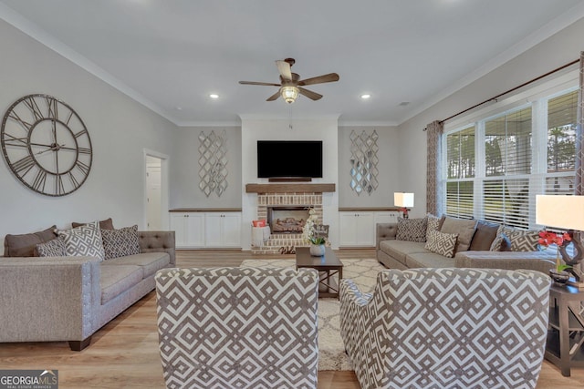 living room featuring crown molding, ceiling fan, and light wood-type flooring