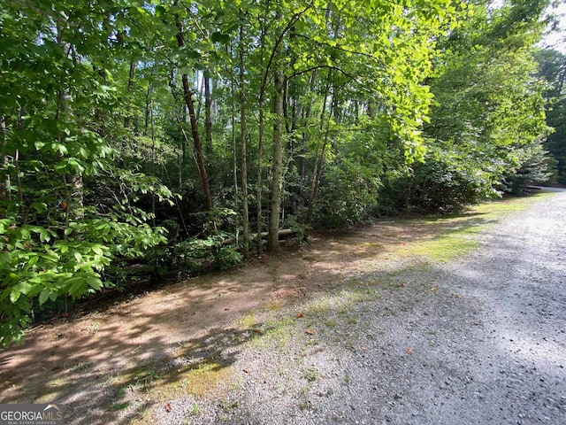 0 Sara Ln Lot 6, Sautee Nacoochee GA, 30571 land for sale