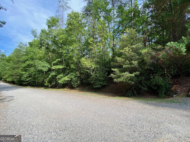 Listing photo 2 for 0 Sara Ln Lot 6, Sautee Nacoochee GA 30571