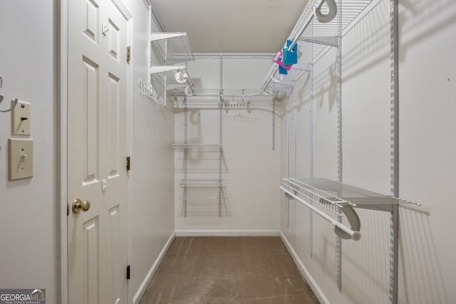 walk in closet featuring carpet flooring