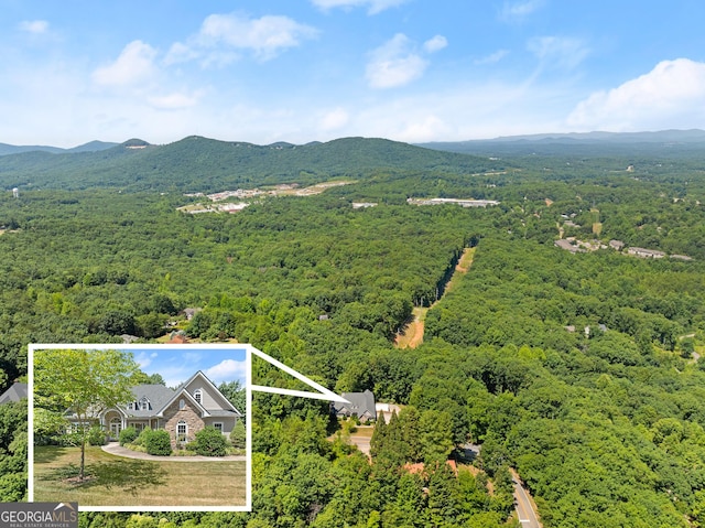 birds eye view of property with a mountain view