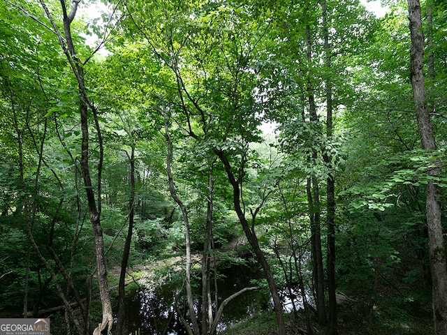 view of local wilderness