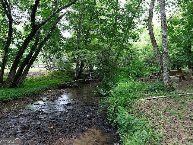 view of local wilderness