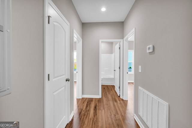 hall featuring wood-type flooring and a wealth of natural light