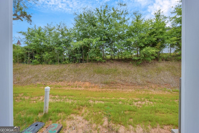339 Gainesville, Carnesville, GA 30521 - view of yard