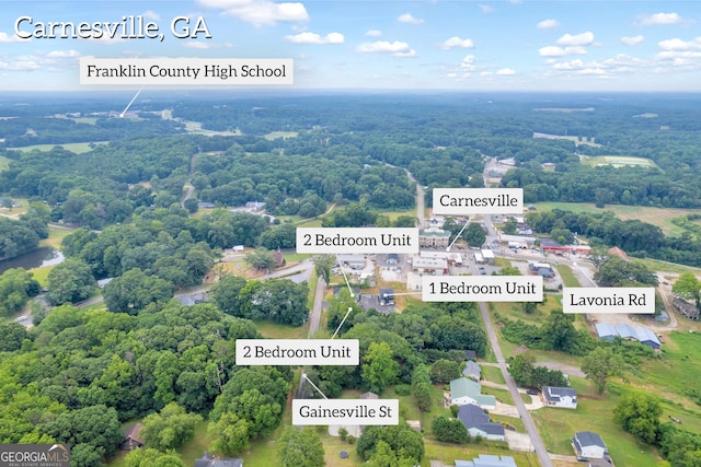 339 Gainesville, Carnesville, GA 30521 - aerial view of property's location featuring property boundaries highlighted