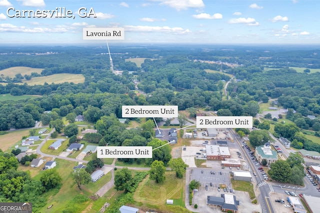 339 Gainesville, Carnesville, GA 30521 - aerial view of property's location