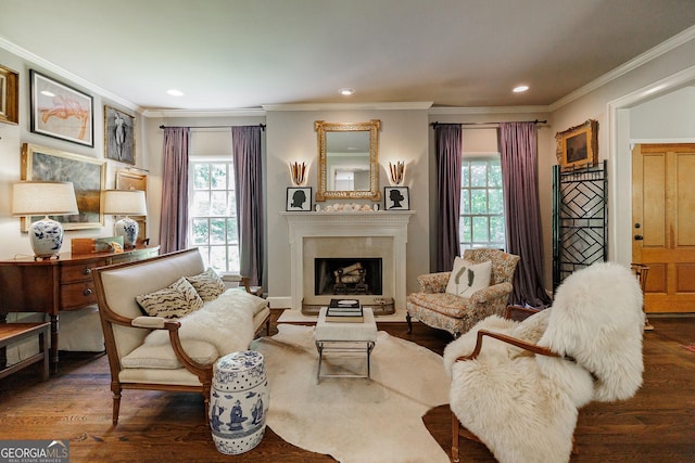 living room featuring a fireplace, crown molding, and dark hardwood / wood-style flooring