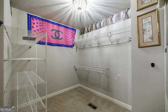 walk in closet with carpet