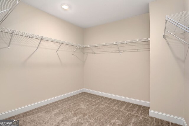 spacious closet with carpet floors