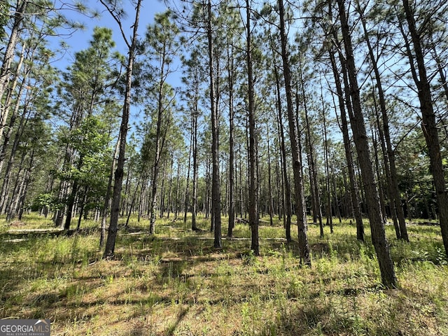 view of local wilderness