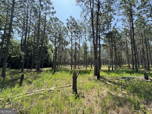 view of local wilderness