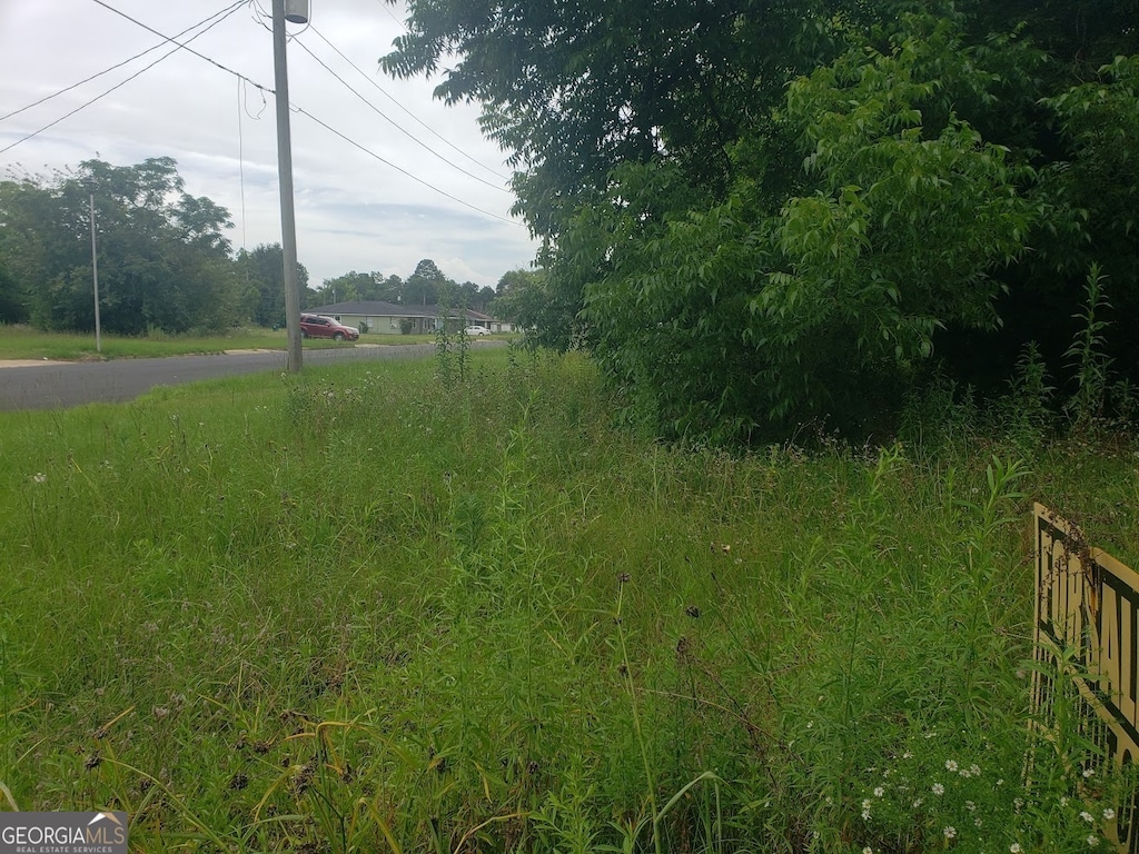 2107 S Jackson St, Albany, GA 31701