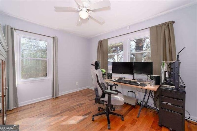 office space with a ceiling fan, plenty of natural light, baseboards, and wood finished floors