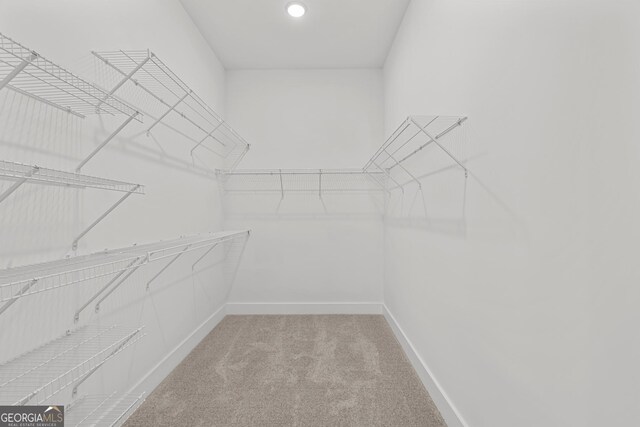 spacious closet featuring carpet floors