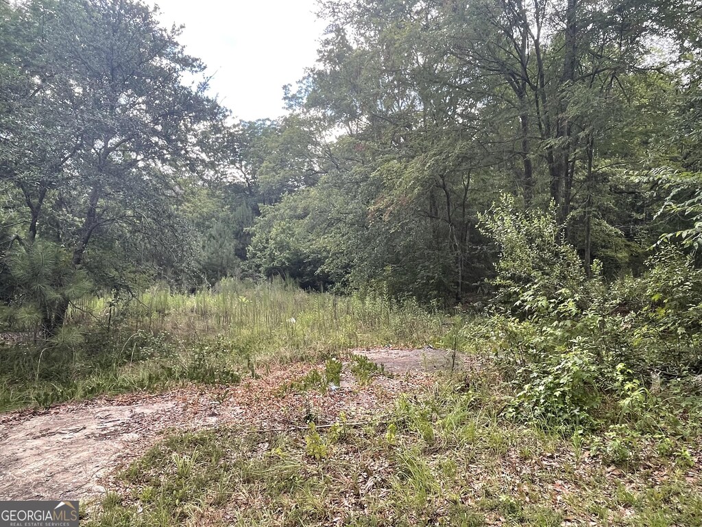 210C N Main St, Milledgeville, GA 31061