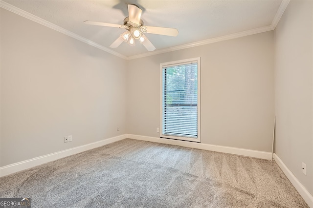 unfurnished room featuring ceiling fan, carpet, and ornamental molding