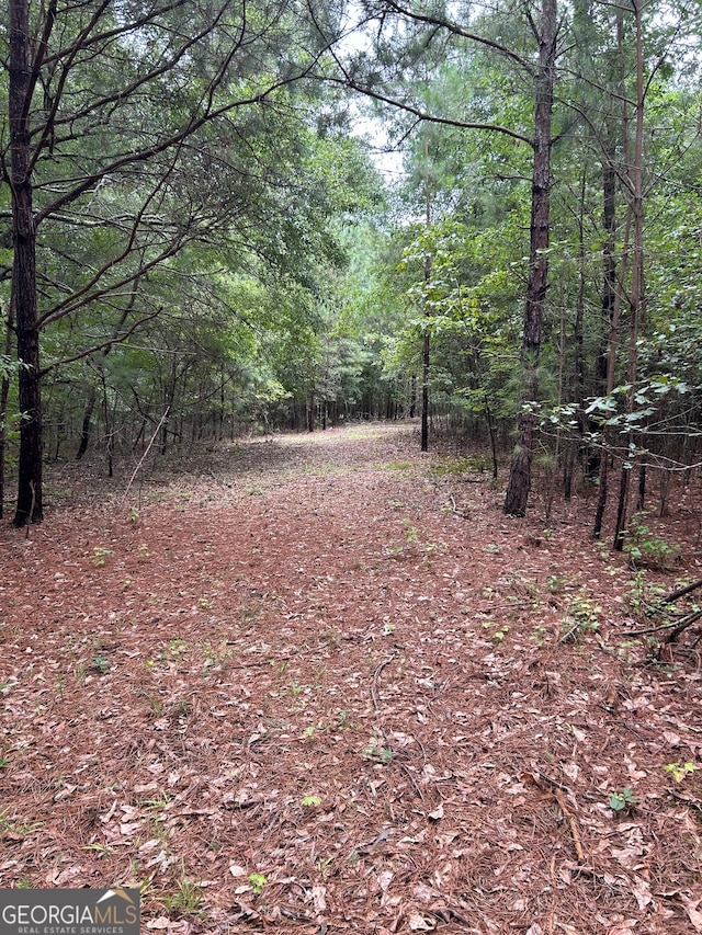 Listing photo 3 for 0 Callaway Rd, Fayetteville GA 30215