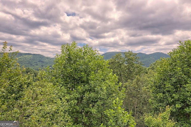 view of mountain feature