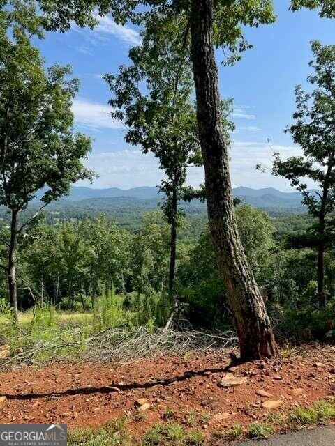 LOTS116/117 Highland Park, Blairsville GA, 30512 land for sale