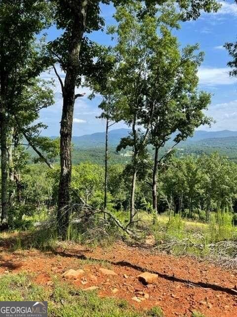 Listing photo 2 for LOTS116/117 Highland Park, Blairsville GA 30512